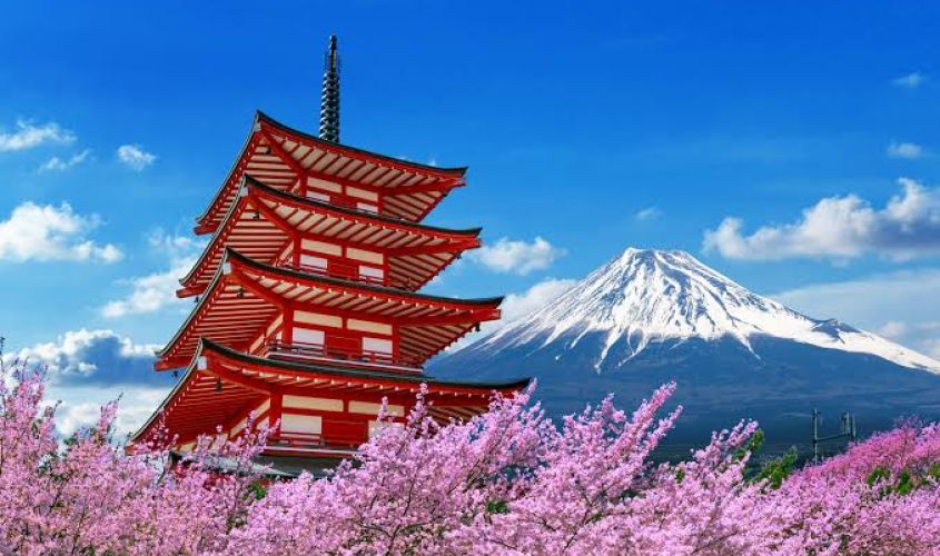 Elegant Japonya Türk Hava Yolları ile 7 Gece (Extra Turlar Dahil)