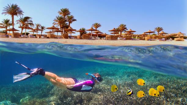 İstanbul Hareketli Thy İle Sharm El Sheikh Turu 7 Gece