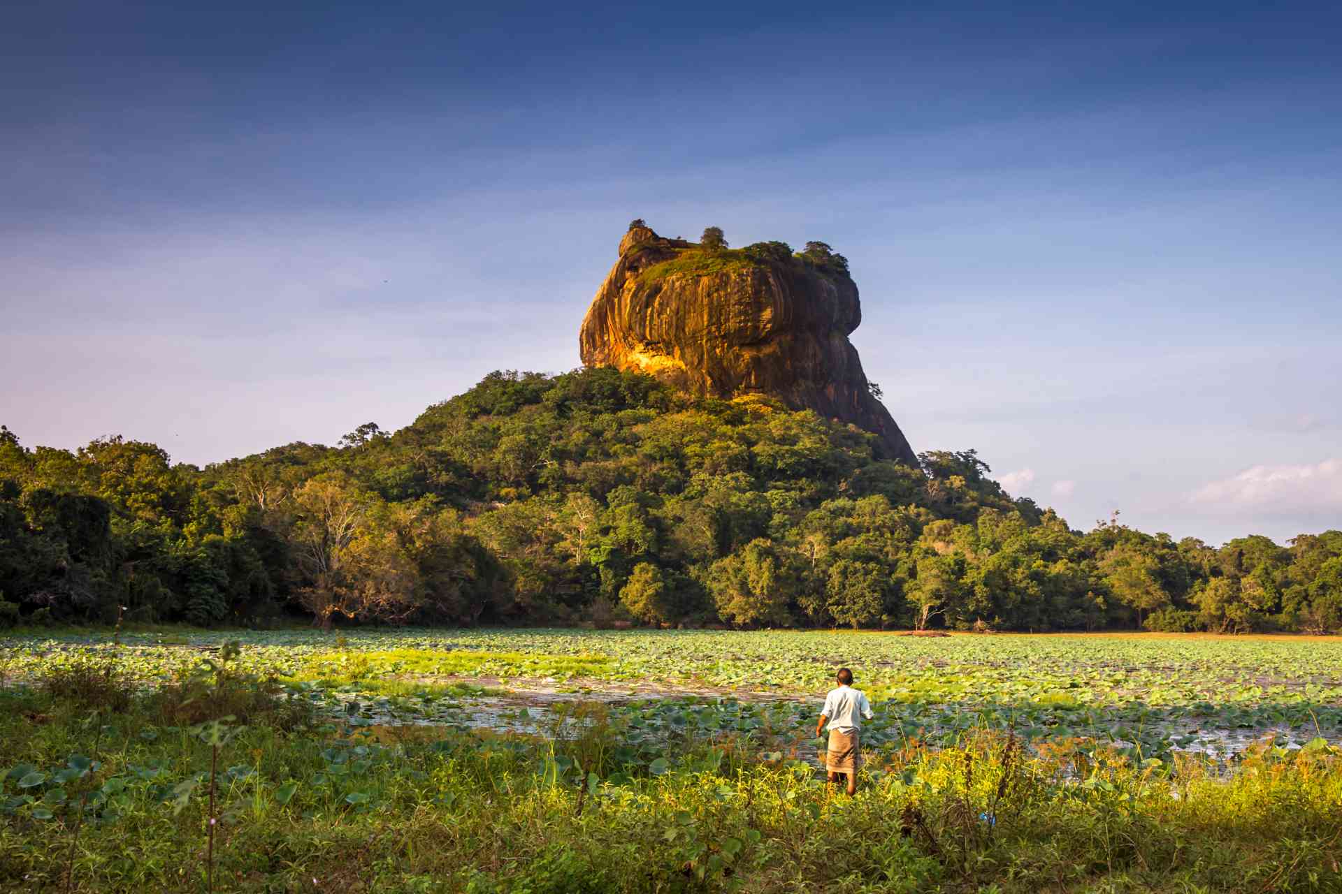 Elegant Sri Lanka THY ile 6 Gece (Extra Turlar Dahil)