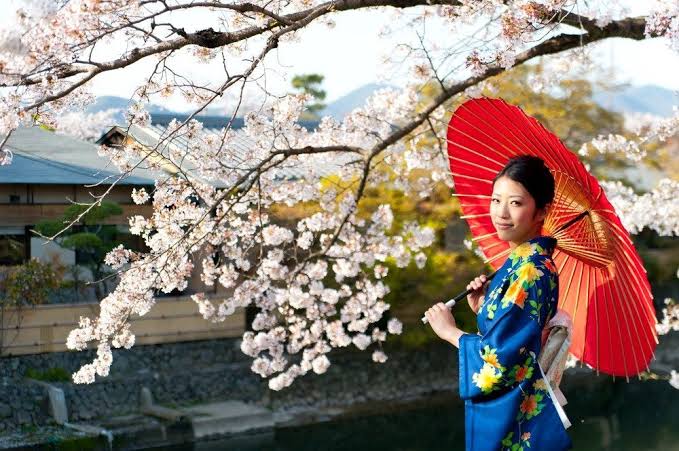 MEGA JAPONYA & GÜNEY KORE TURU THY İLE 10 GECE