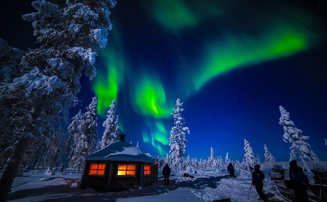 Lapland Kuzey Işıkları Murmansk & St. Petersburg & Moskova Turu Ajet İle 5 Gece Vize Dahil